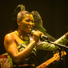 LARYS NOUAL : la fusion musicale parfaite entre culture africaine et occidentale